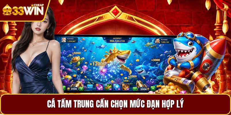 Cá tầm trung cần chọn mức đạn hợp lý